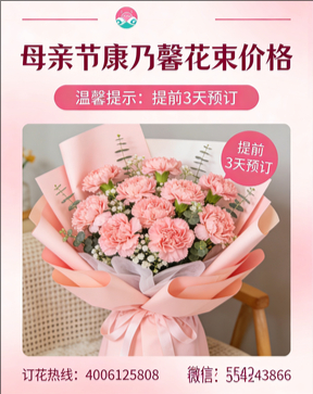 新乡牧野区花店母亲节康乃馨花束