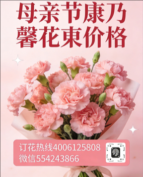 新乡牧野区花店母亲节康乃馨花束